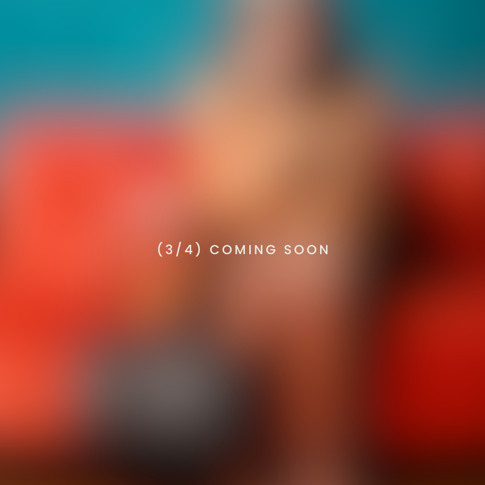 (3/4) Coming soon - Work Bags